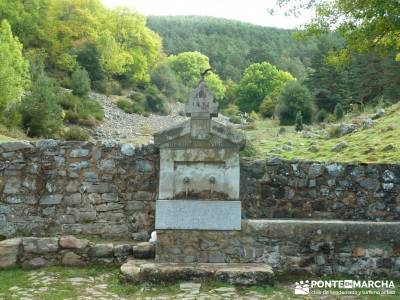 Parque Natural Sierra de Cebollera (Los Cameros) - Acebal Garagüeta;asociacion senderismo belenes v